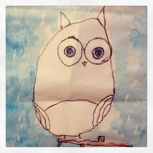 Meet your Posher, Beau